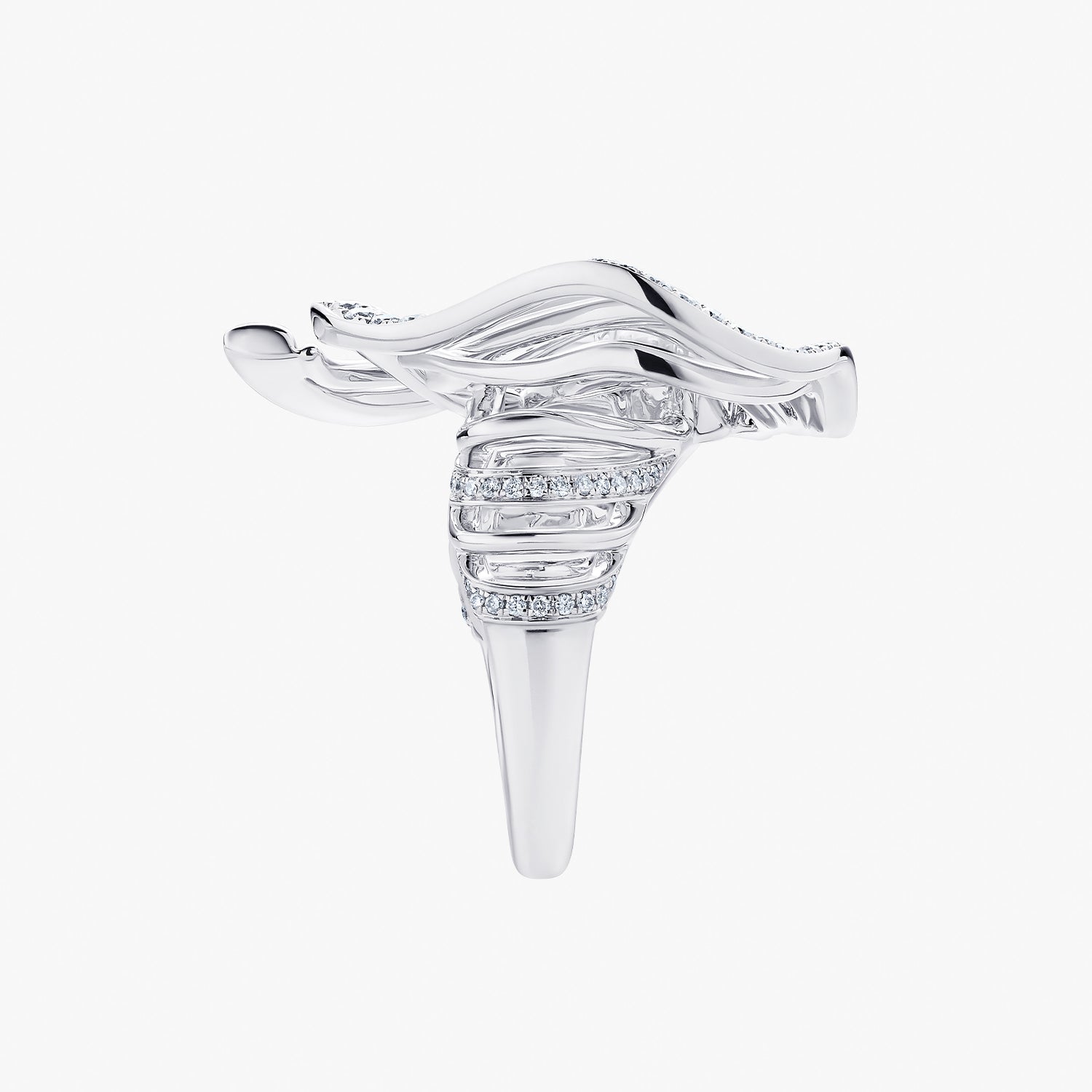 Gravity Collection Ring